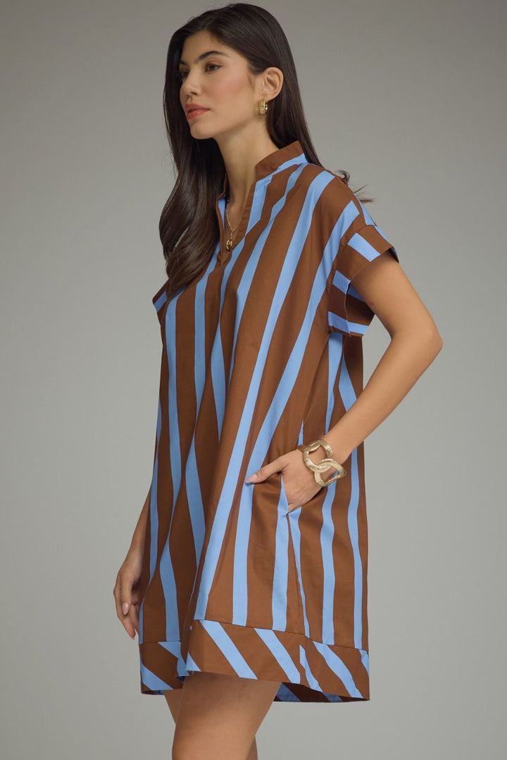 Cocoa & Blue Stripe Mini Dress