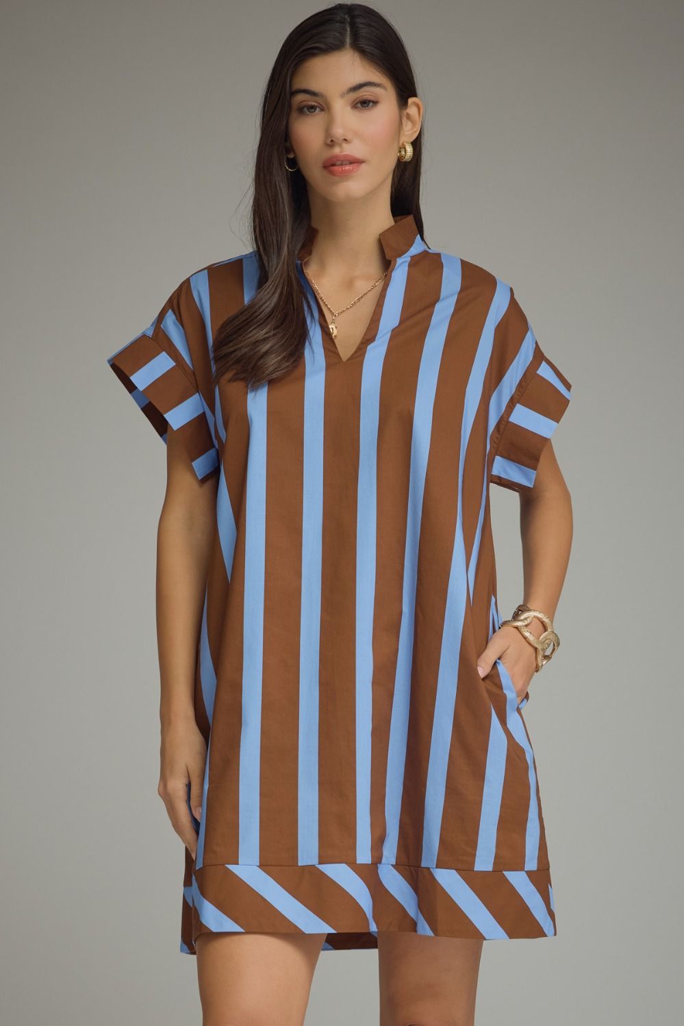 Cocoa & Blue Stripe Mini Dress
