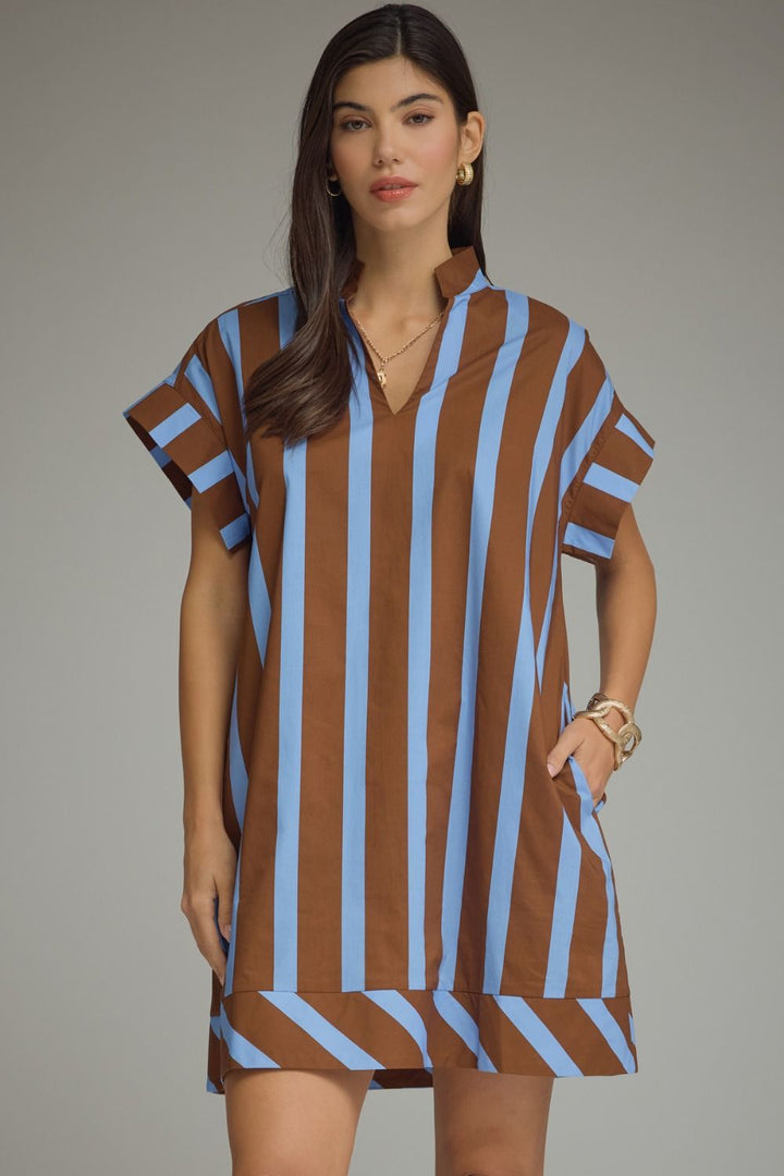 Cocoa & Blue Stripe Mini Dress
